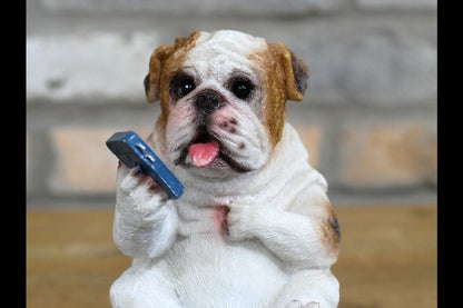Bulldog On The Loo