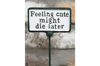 Plant Sign - Feeling Cute