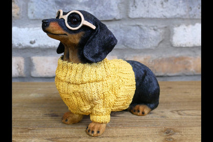 Dachshund Dog In Sweater