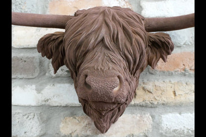 Cow Head