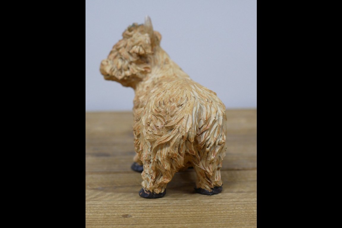 Highland Cow With Flower Headband