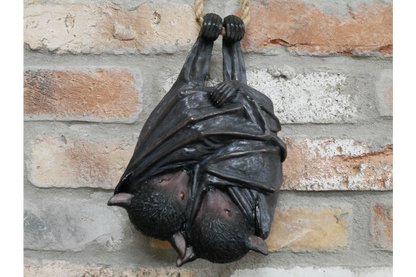 Hanging Bats