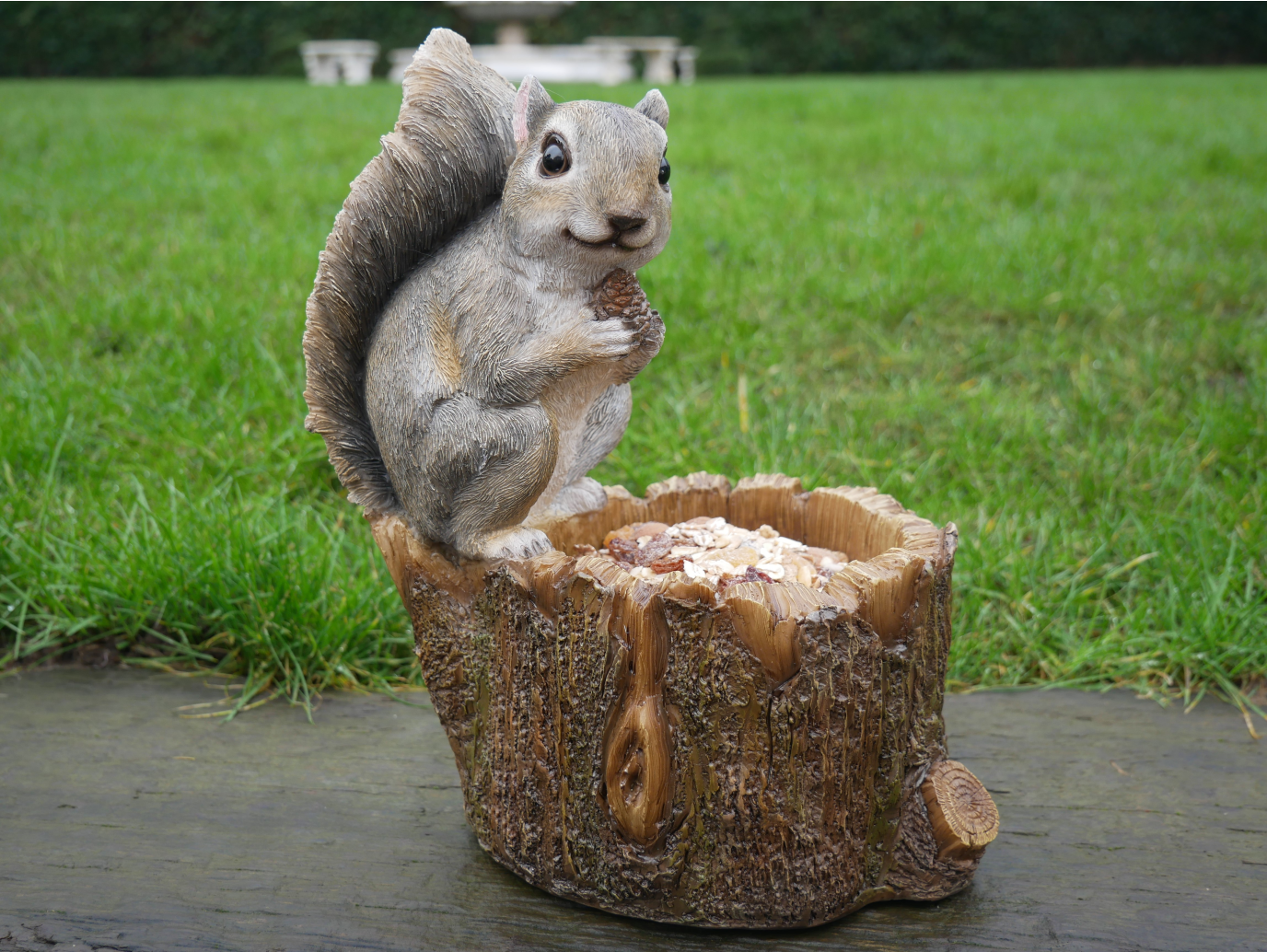 Squirrel Feeder