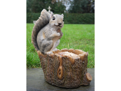 Squirrel Feeder