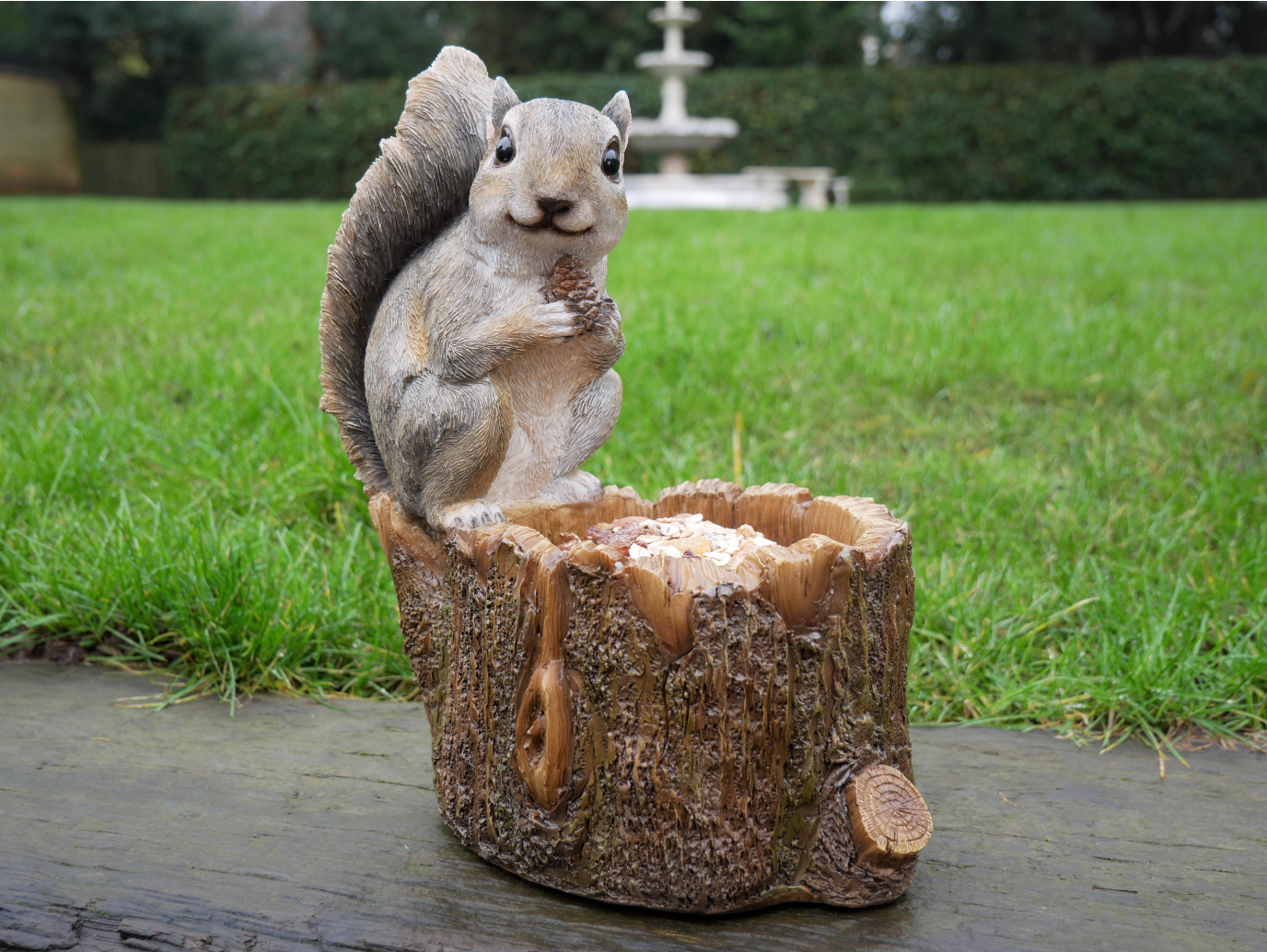 Squirrel Feeder