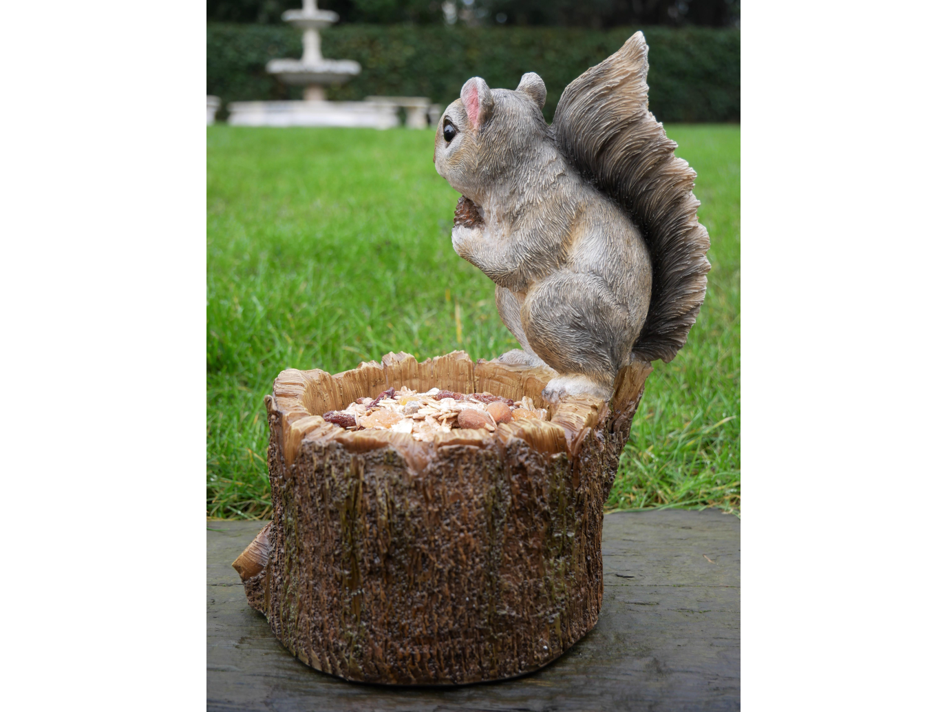 Squirrel Feeder