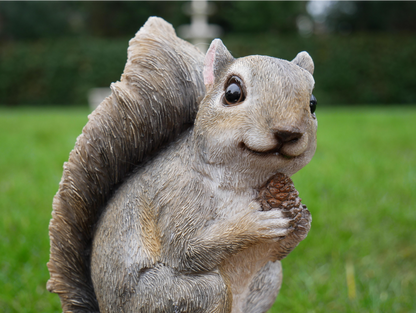 Squirrel Feeder