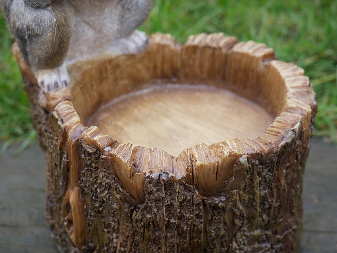 Squirrel Feeder