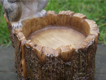 Squirrel Feeder