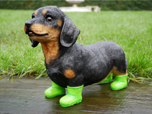 Dog In Boots