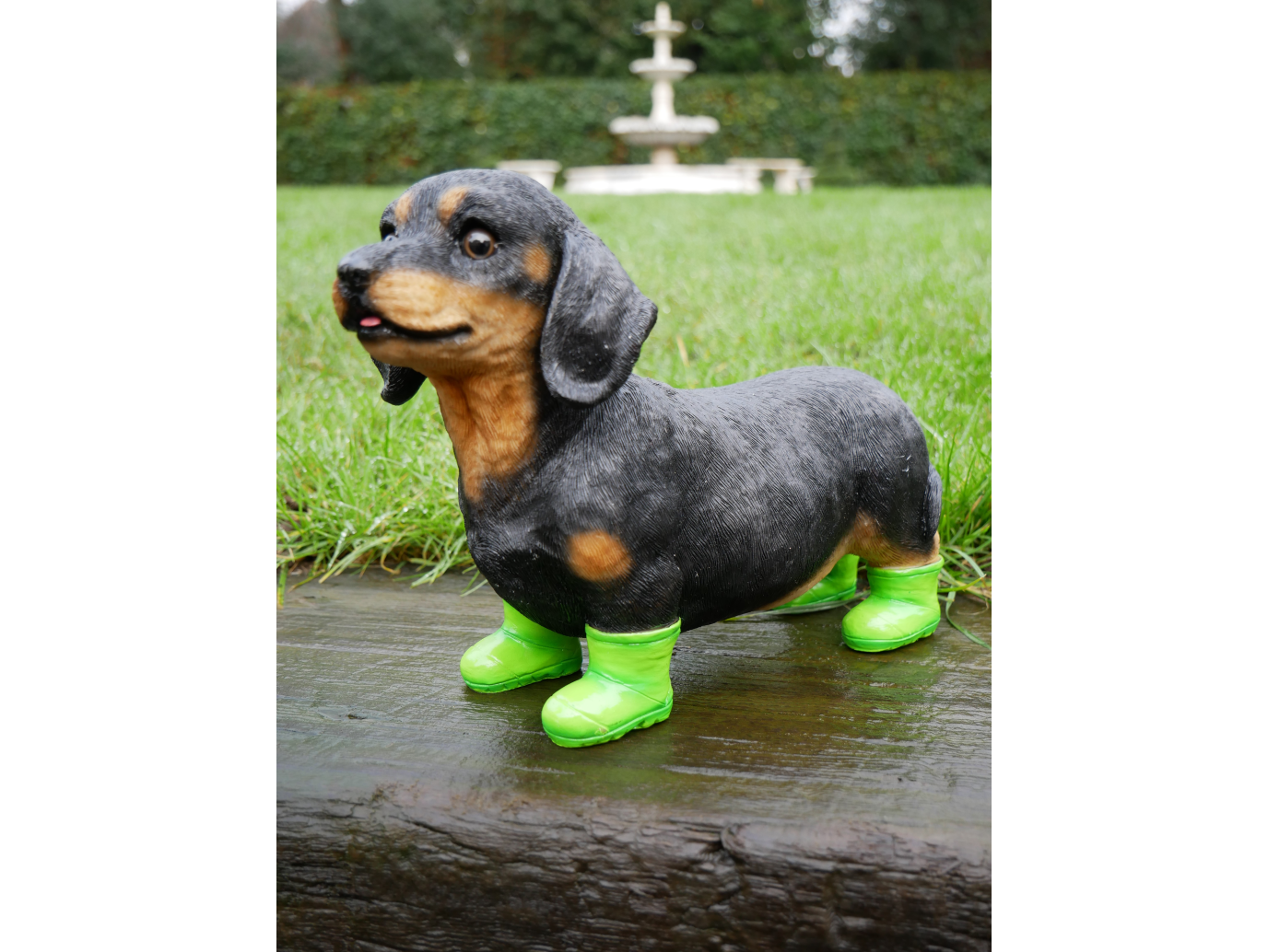 Dog In Boots