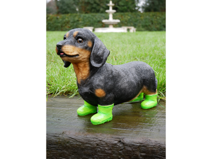 Dog In Boots