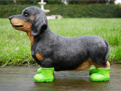 Dog In Boots