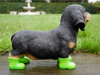 Dog In Boots