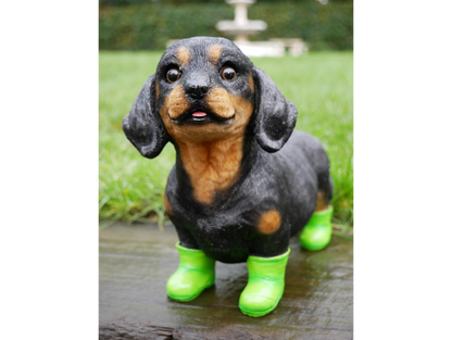 Dog In Boots