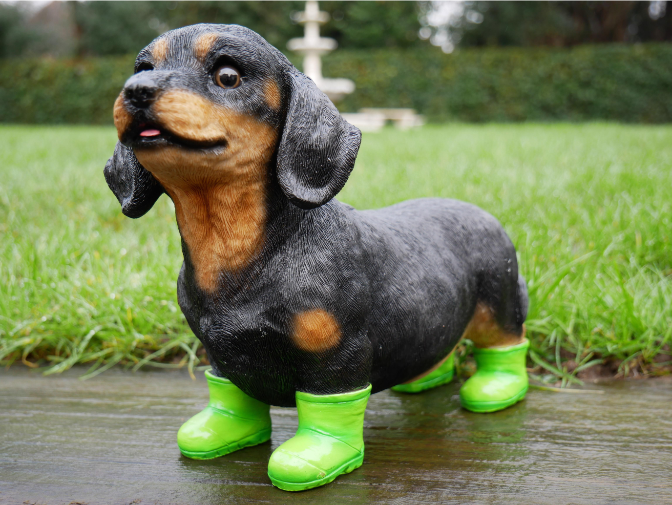 Dog In Boots