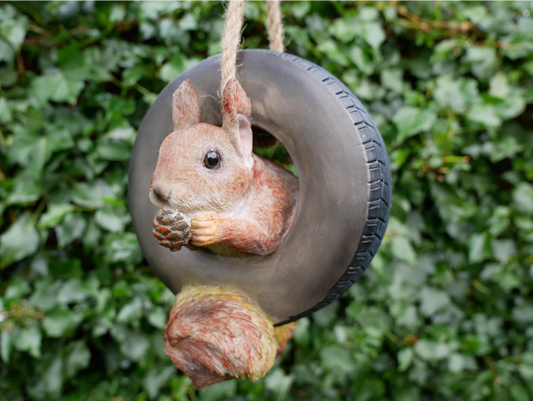 Squirrel In Tyre