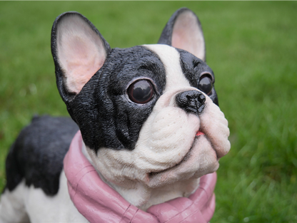 Dog With Scarf