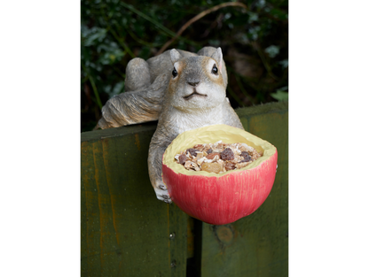 Squirrel Feeder