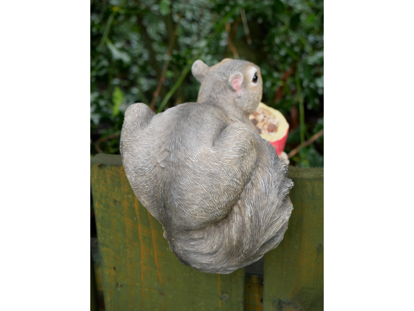 Squirrel Feeder