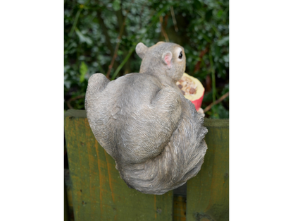 Squirrel Feeder