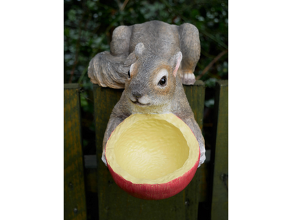 Squirrel Feeder