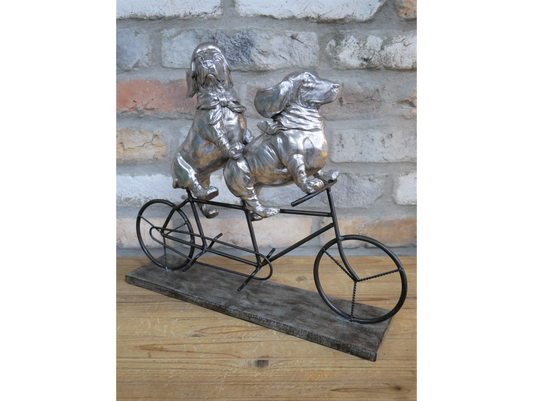 Dogs On A Bicycle