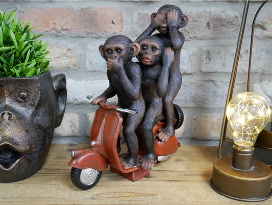 Monkeys On A Scooter