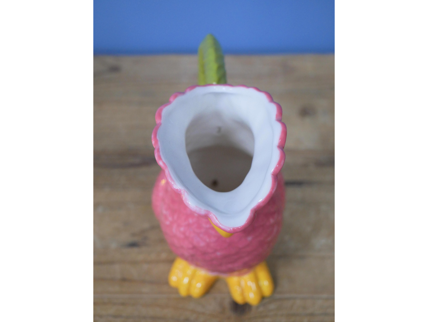 Polly Parrot Jug