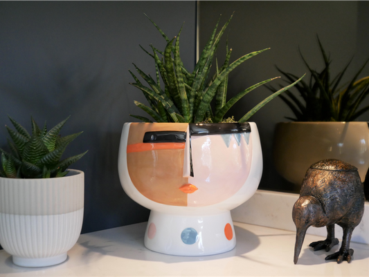 Face Plant Pot