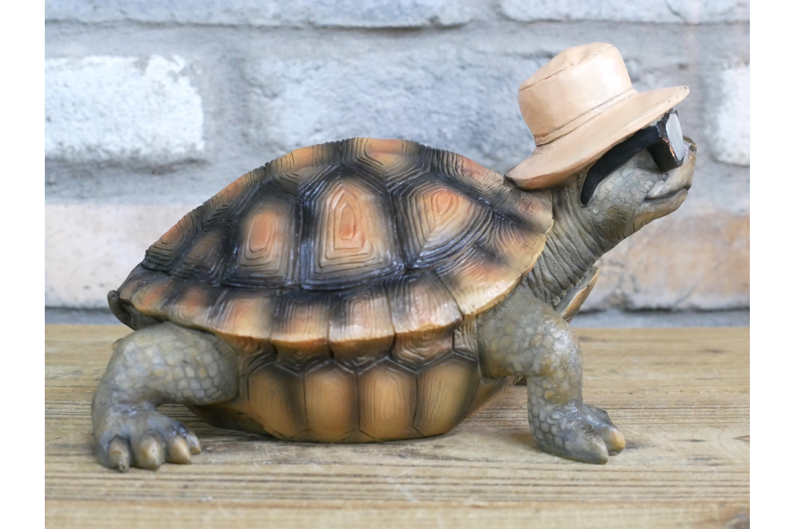 Holiday Tortoise