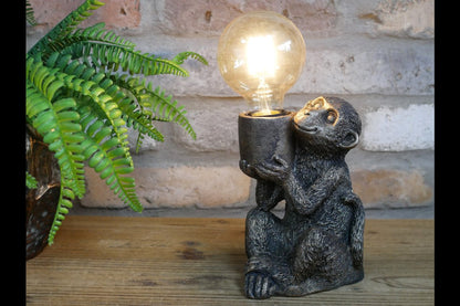 Monkey Light