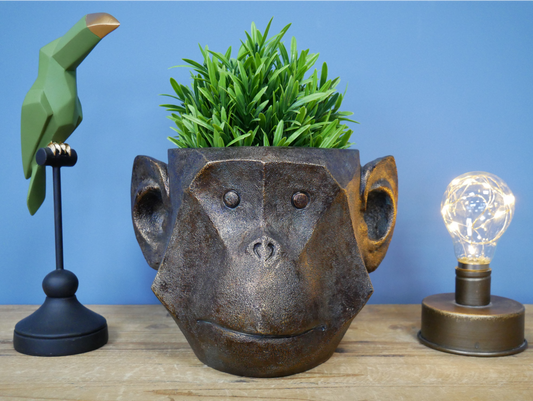 Monkey Head Planter