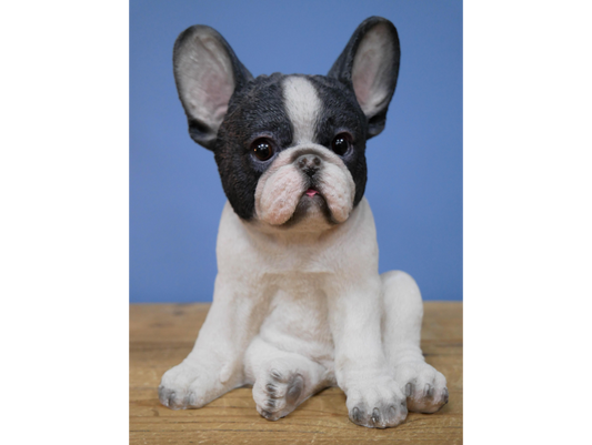 Sitting Puppy