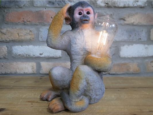 Monkey Light