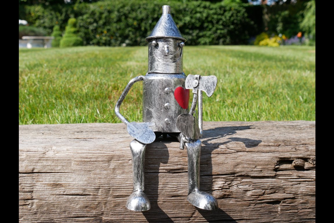 Tin Man - Mini Sitting