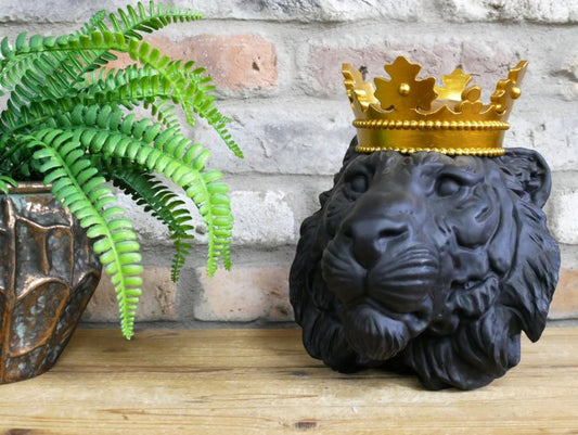 Lion Head With Crown