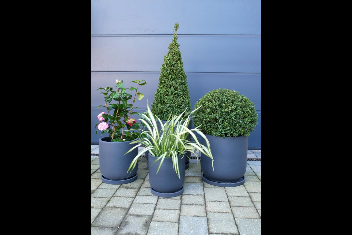 Set Of 4 Planters With Saucers
