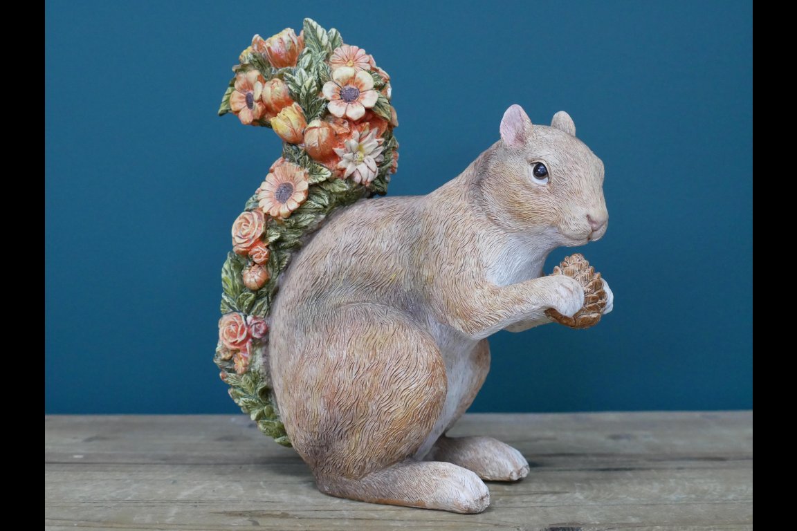 Squirrel