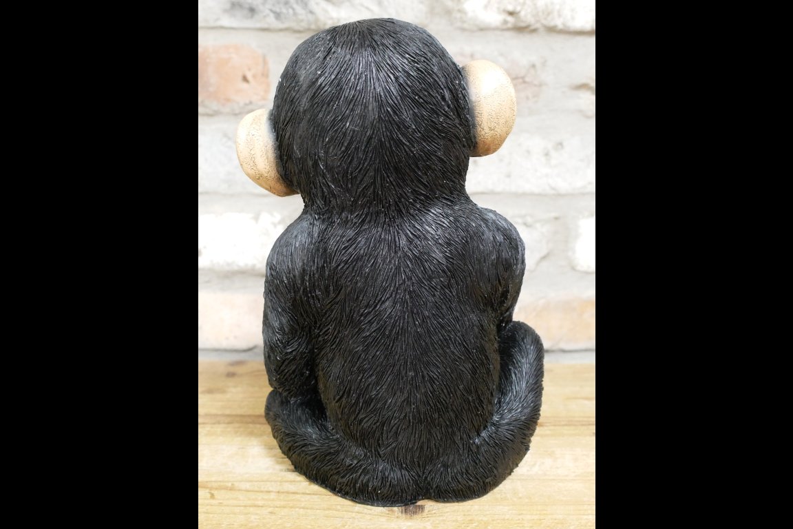 Finger In Mouth Monkey