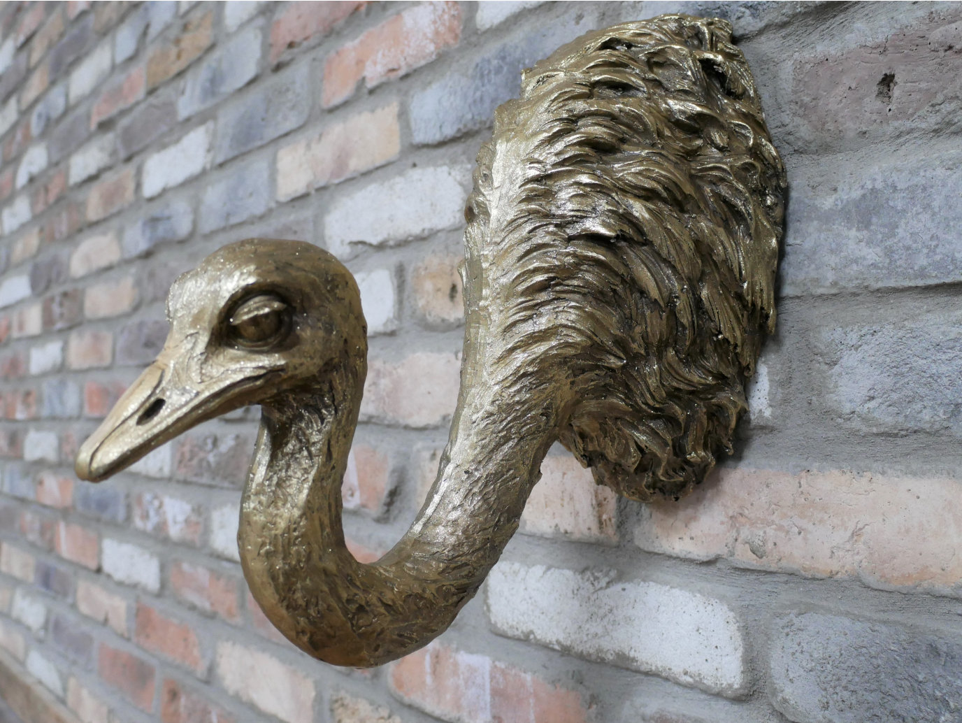 Ostrich Wall Decoration