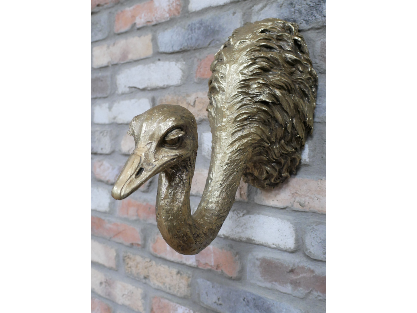 Ostrich Wall Decoration