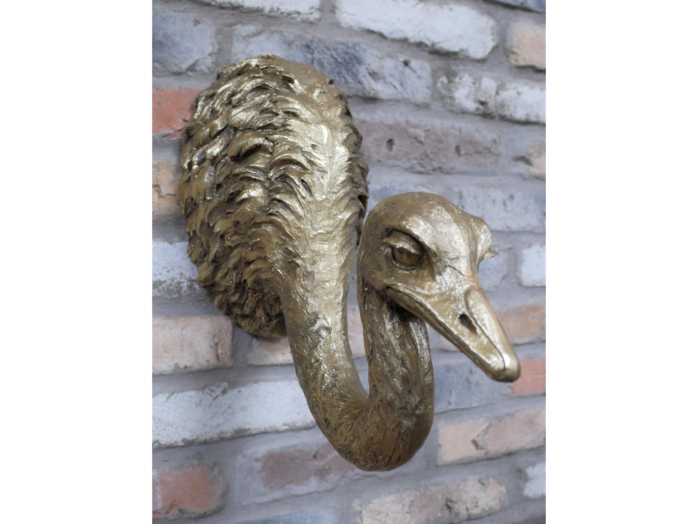 Ostrich Wall Decoration