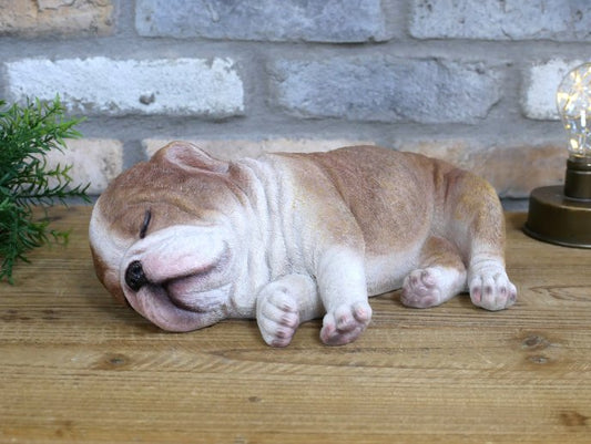 Sleeping Bulldog