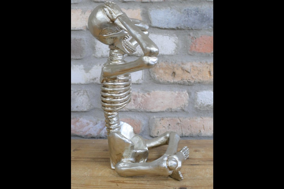 Skeleton