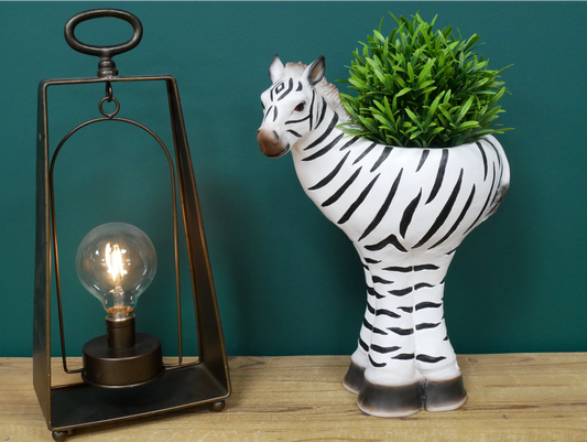 Zebra Planter