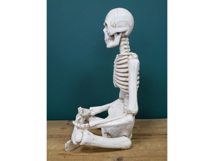 Yoga Skeleton
