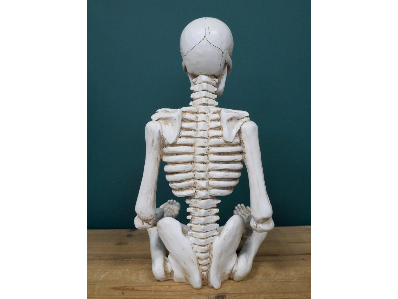 Yoga Skeleton