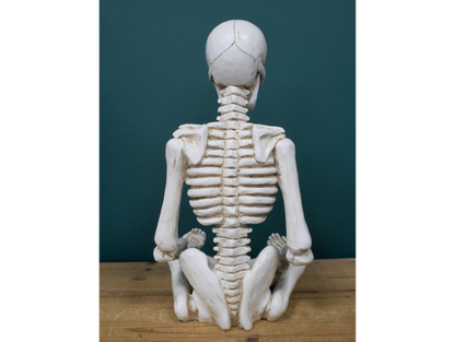 Yoga Skeleton