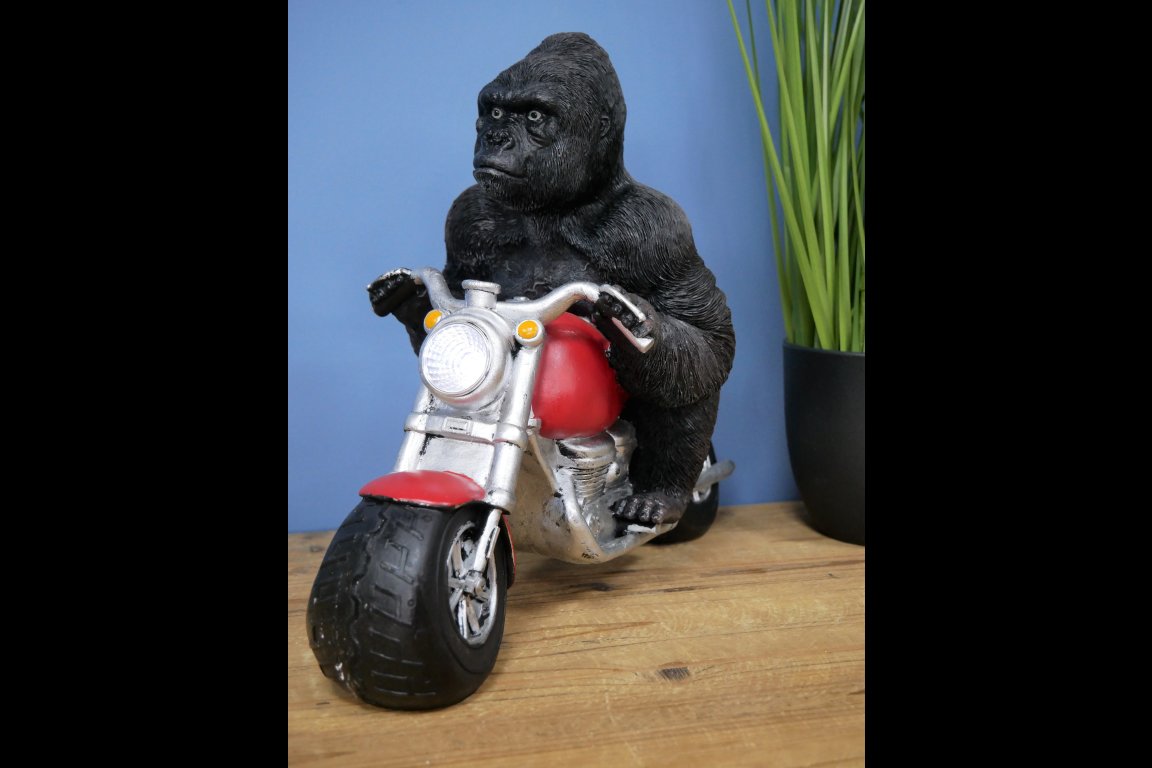 Gorilla On Motorbike With Light